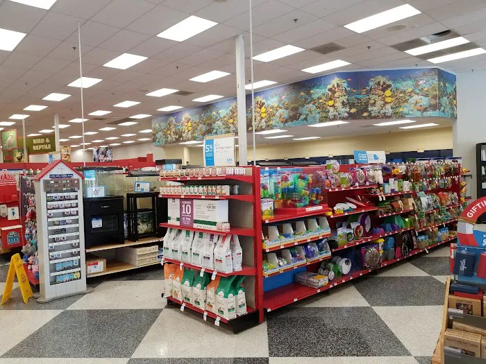 Petco Picture 9