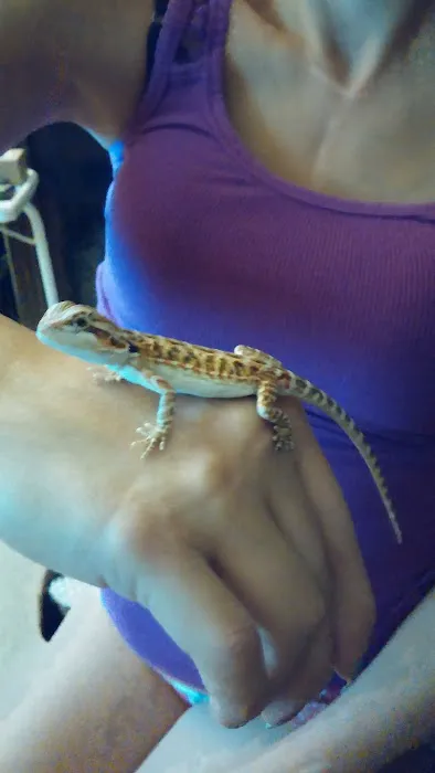 The Serpentarium Picture 1