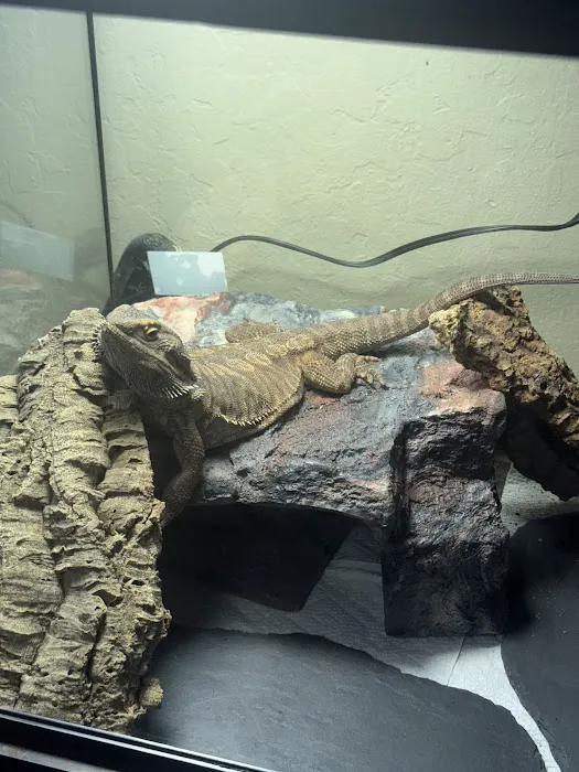 The Serpentarium Picture 8