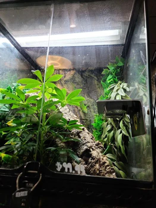 The Serpentarium Picture 2