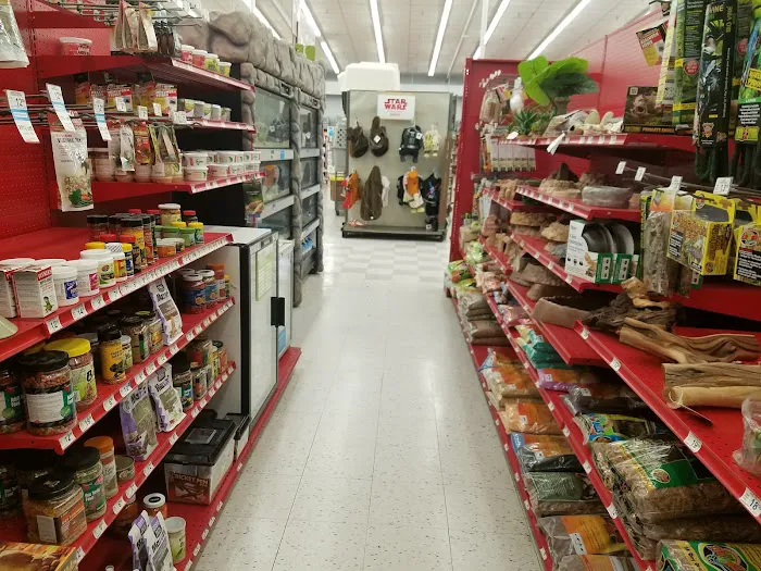 Petco Picture 3