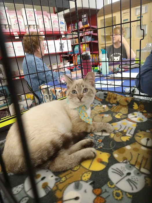 Petco Picture 5