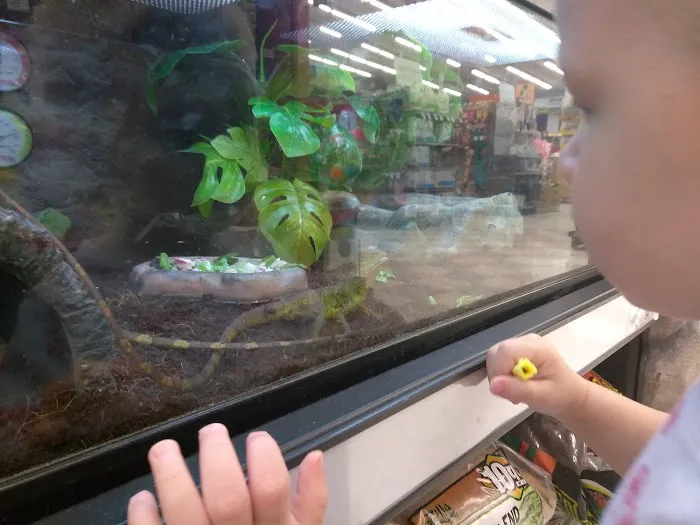 Petco Picture 6
