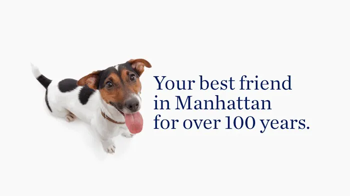 The Schwarzman Animal Medical Center Picture 1