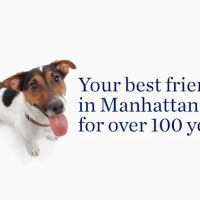 The Schwarzman Animal Medical Center ico