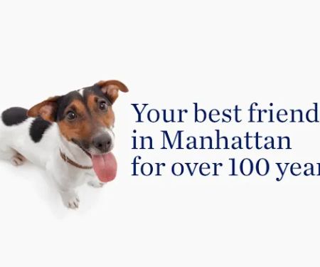 The Schwarzman Animal Medical Center