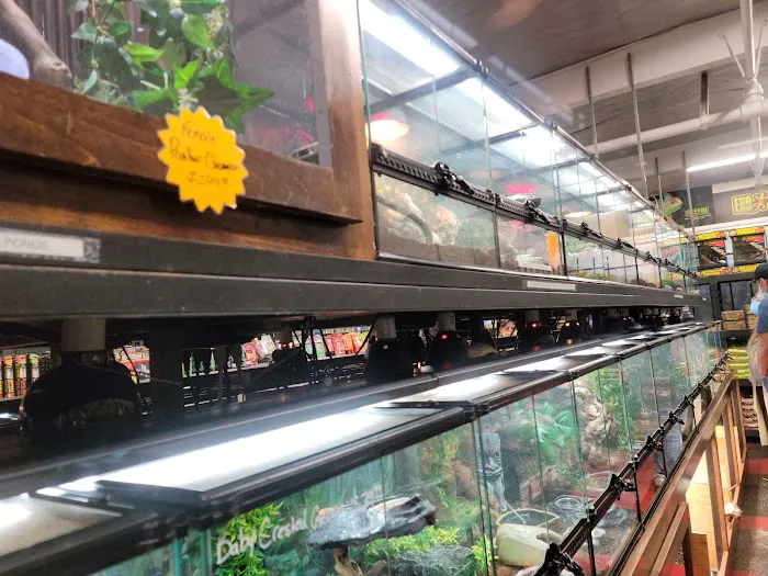 Aquarium & Reptile Depot Picture 3
