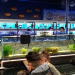 Aquarium & Reptile Depot