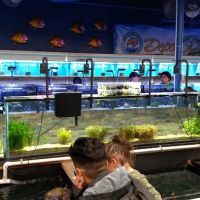 Aquarium & Reptile Depot ico