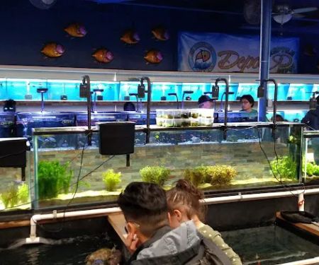 Aquarium & Reptile Depot