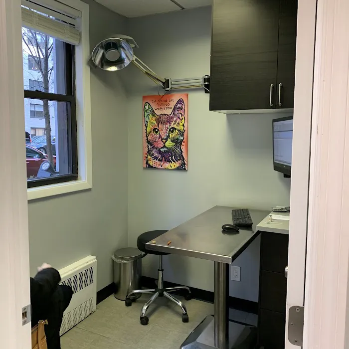 York Veterinary Center Picture 6