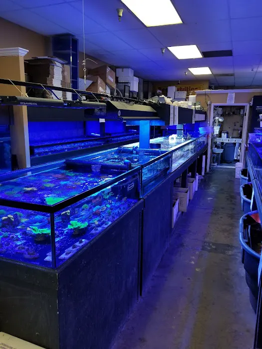 Your Reef Aquarium Picture 6