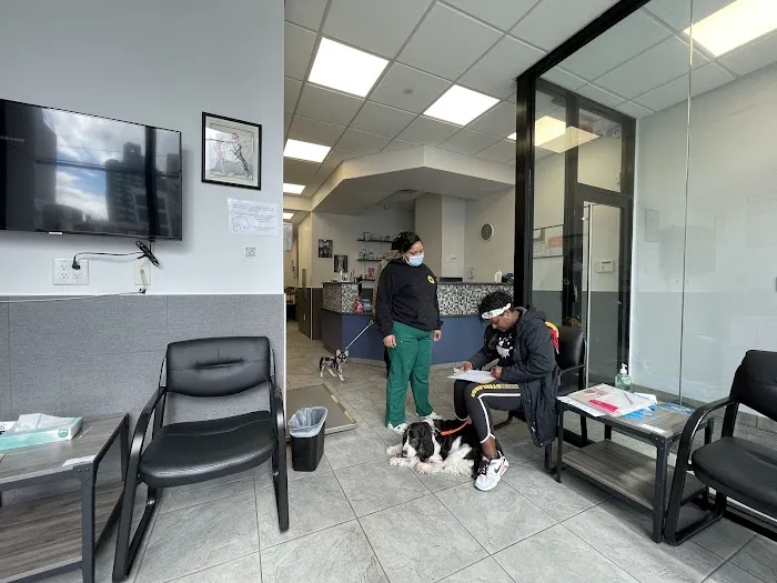 Court Square Animal Hospital Picture 2