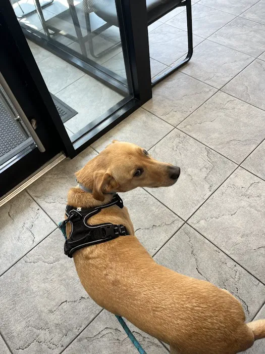 Court Square Animal Hospital Picture 9