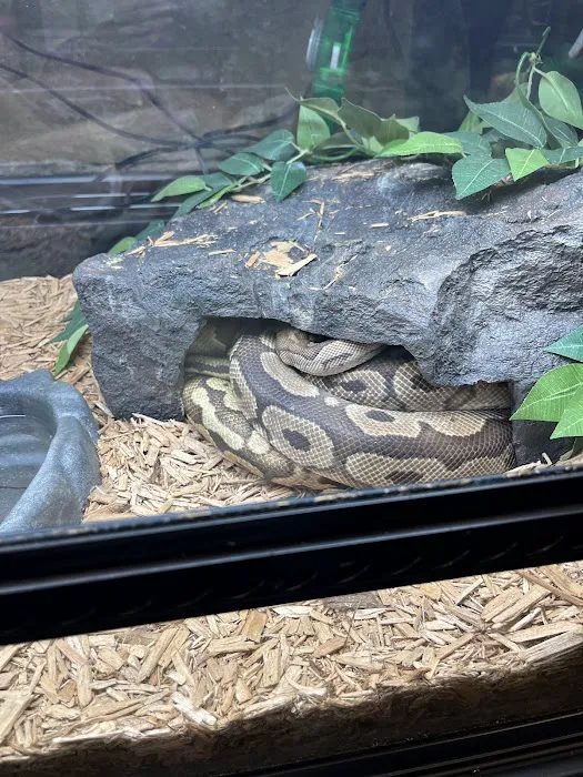 The Serpentarium Picture 2