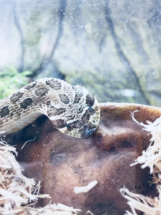 The Serpentarium Picture 7