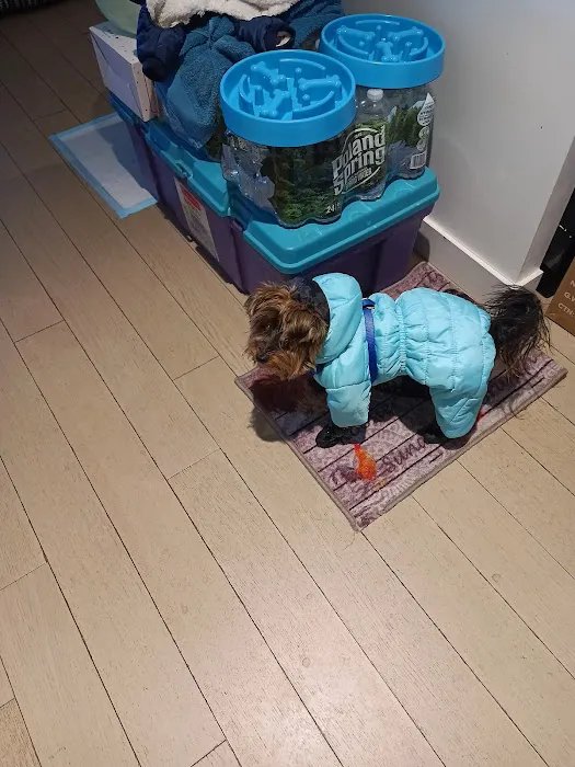 ASPCA Community Veterinary Clinic - By Appointment Only Picture 3