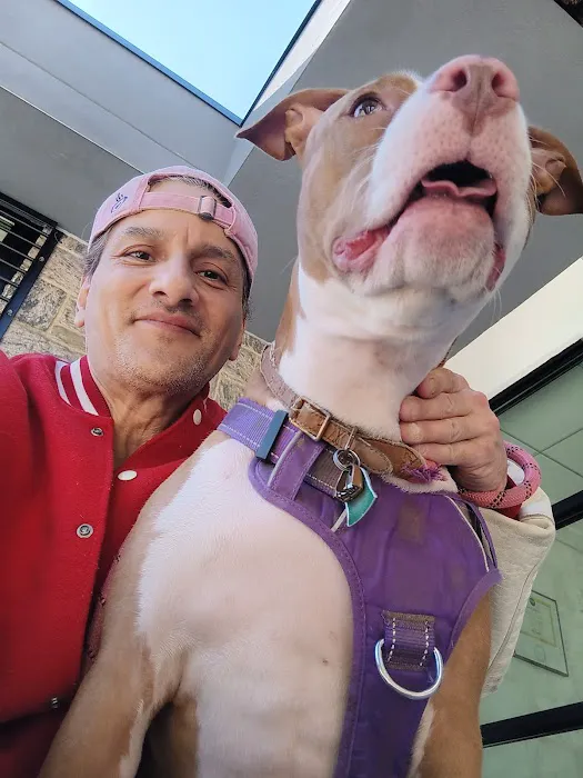 ASPCA Community Veterinary Clinic - By Appointment Only Picture 10