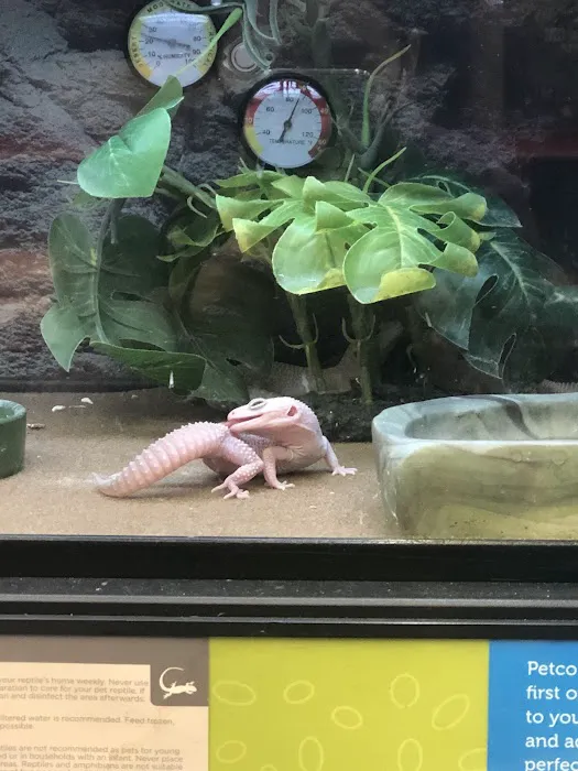 Petco Picture 3