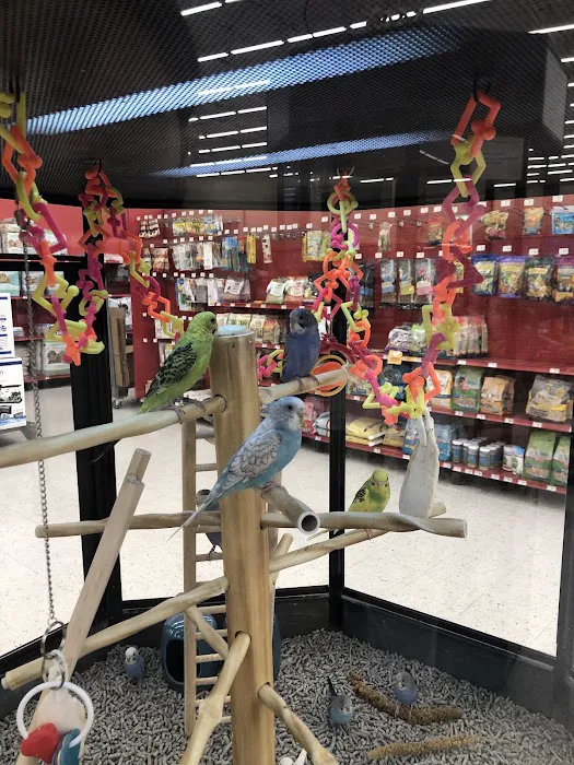 Petco Picture 2