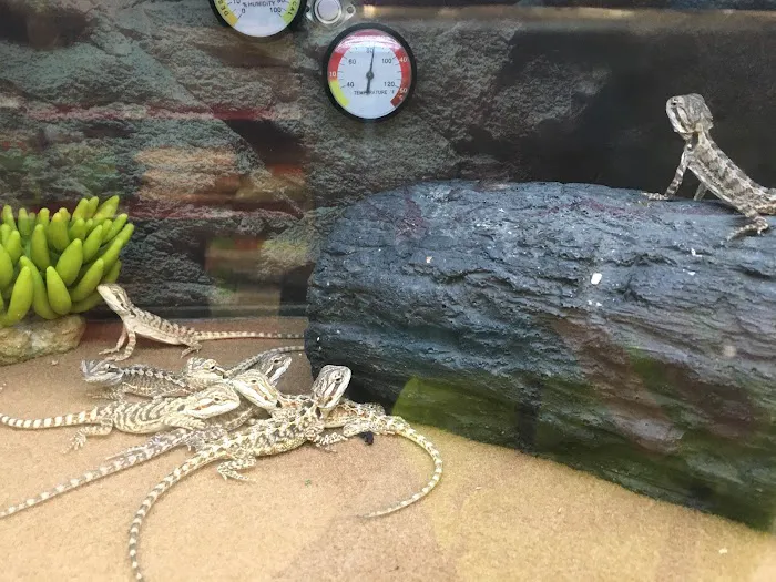 Petco Picture 10