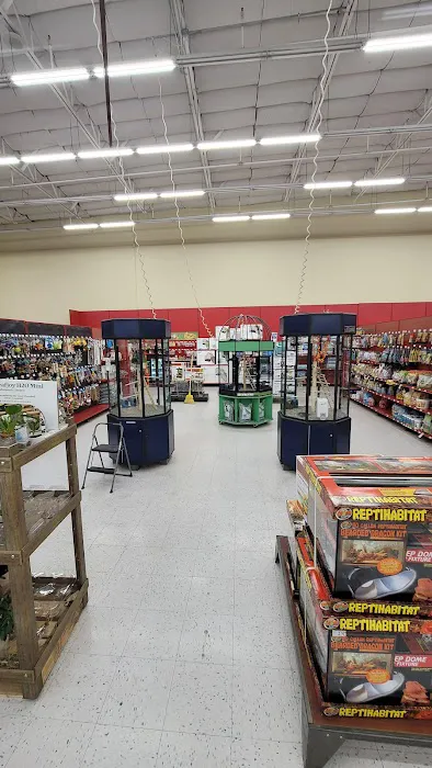 Petco Picture 7