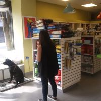 Animal Clinic of Long Island City ico