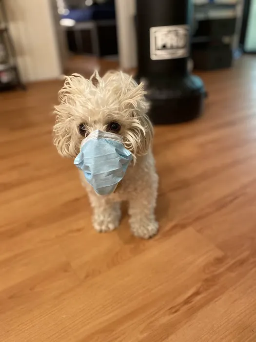 Skillman Animal Clinic Picture 3