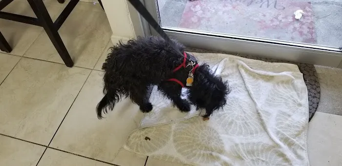 Skillman Animal Clinic Picture 5