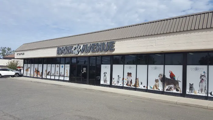 Bark Avenue Rocklin Picture 3