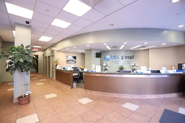 BluePearl Pet Hospital Picture 9