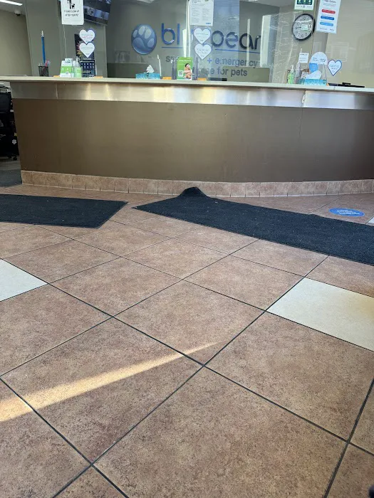 BluePearl Pet Hospital Picture 4