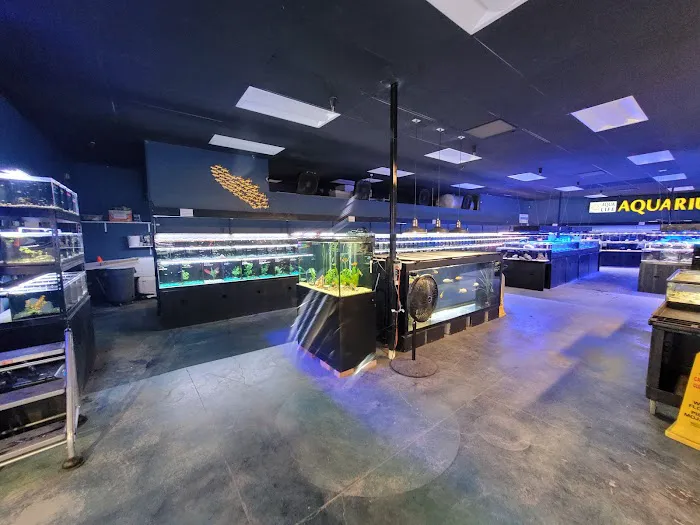 Aqua Life Aquarium Picture 3