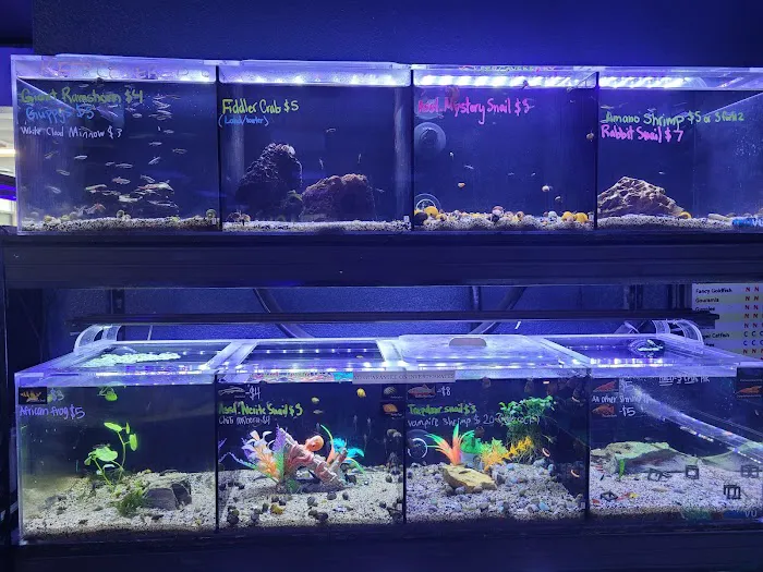 Aqua Life Aquarium Picture 5
