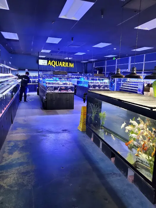 Aqua Life Aquarium Picture 7