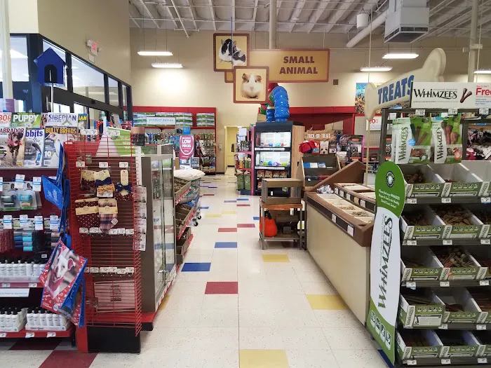 Petco Picture 2