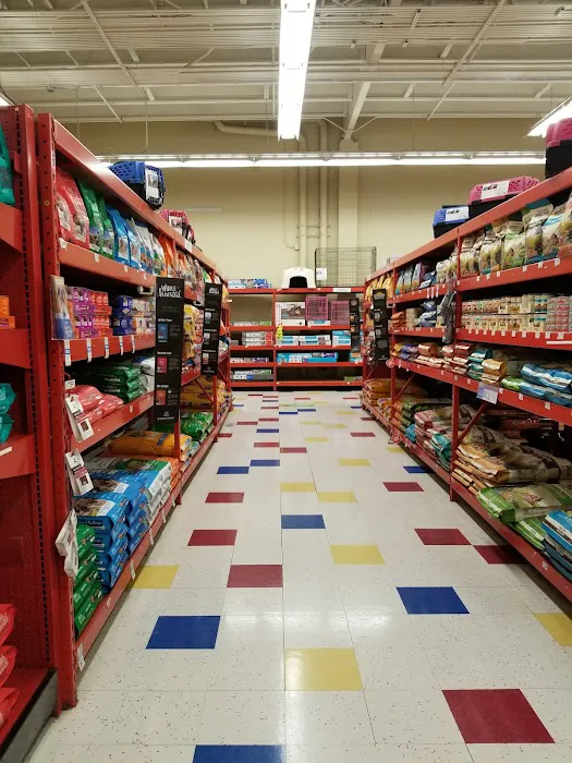 Petco Picture 3