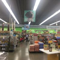 Petco ico