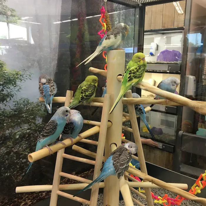 Petco Picture 3