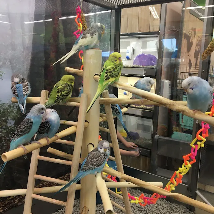 Petco Picture 10