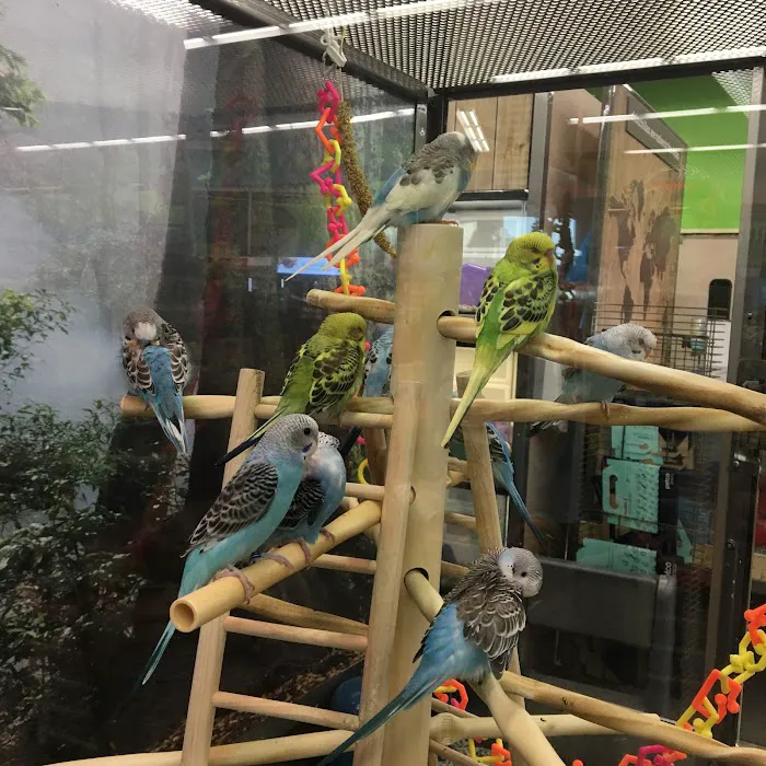 Petco Picture 9