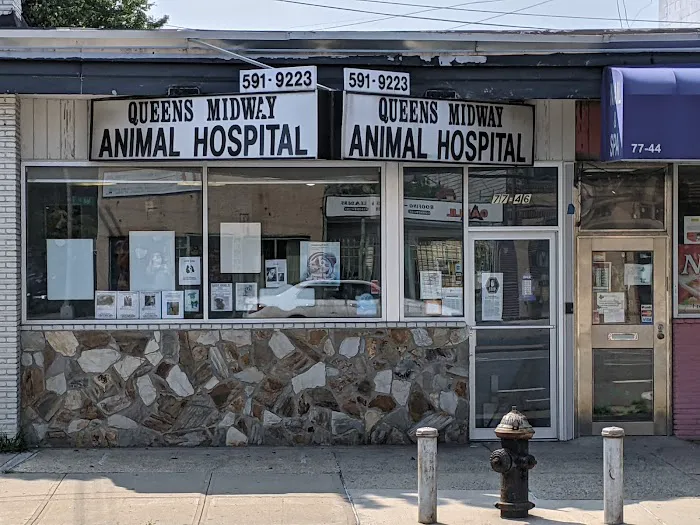 Queens Midway Animal Hospital Picture 9