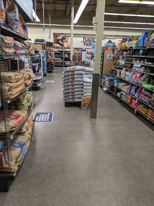 Petco Picture 3