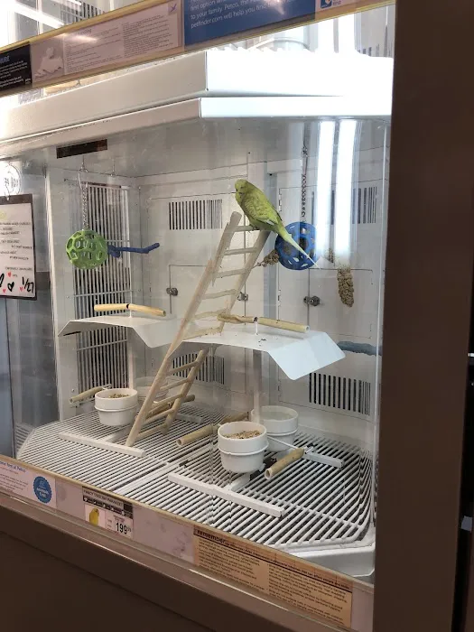 Petco Picture 10