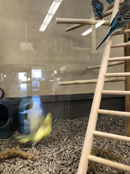 Petco Picture 9