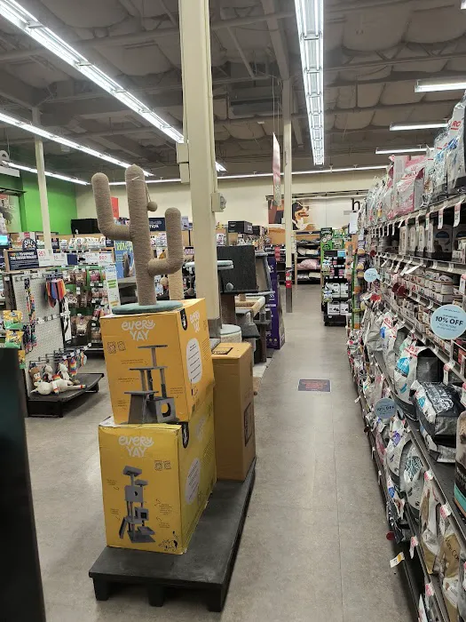 Petco Picture 2