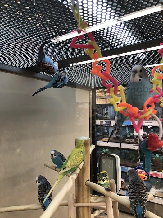 Petco Picture 8