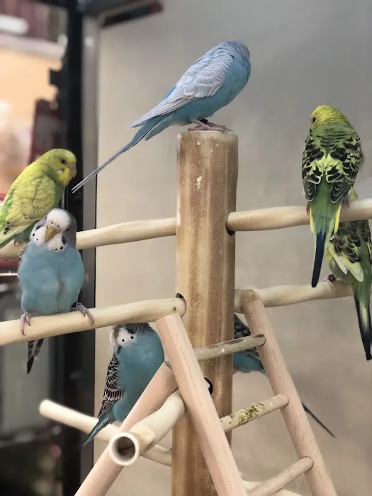 Petco Picture 7