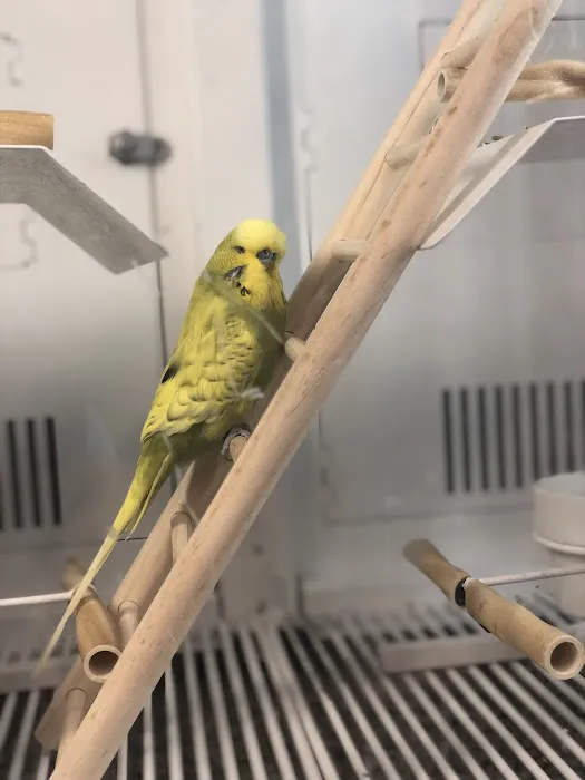Petco Picture 5