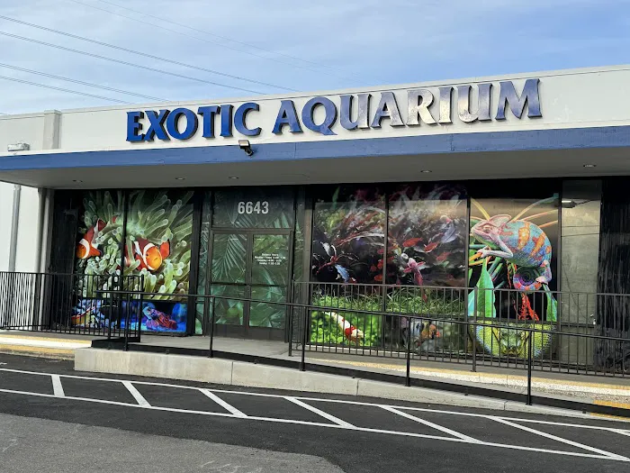 Exotic Aquarium Picture 4
